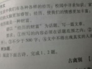 不同的財(cái)富作文開頭