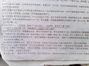 那一抹綠色800字作文開頭