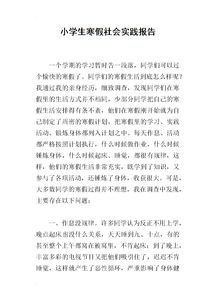 小學(xué)生寒假實踐報告()