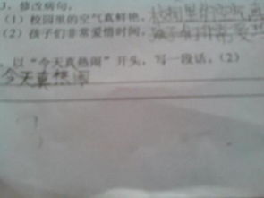 熱鬧作文的開頭段