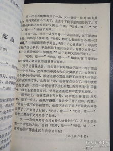 城市改造小學(xué)作文(城市改造建設(shè)口號)