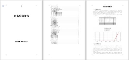 財(cái)務(wù)分析報(bào)告論文(財(cái)務(wù)分析報(bào)告論文)