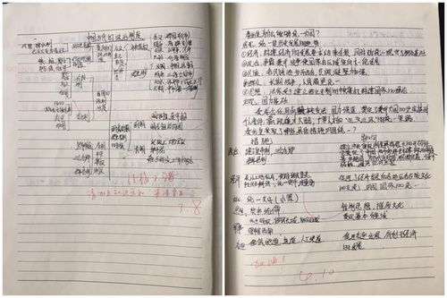帶教老師的評(píng)語(yǔ)(帶教老師評(píng)語(yǔ))