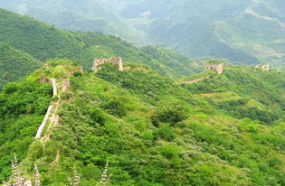 關(想過就業(yè)關，先過用“字”關)