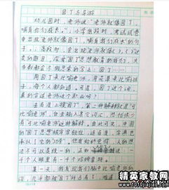 印象深的春節(jié)作文開頭