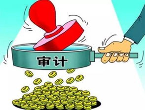 內部控制審計與內部控制評價的聯(lián)系和區(qū)別(內部控制審計與內部控制評價的聯(lián)系和區(qū)別)
