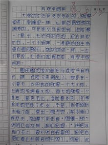 食品安全作文好開頭