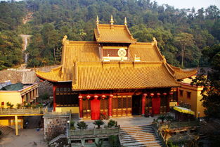 夢見寺廟(夢見寺廟進(jìn)水)