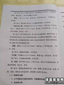實踐檢驗報告(如何看檢驗報告單)