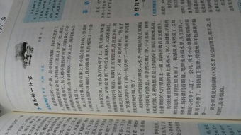 寫我們生活中發(fā)現(xiàn)的作文開頭結(jié)尾