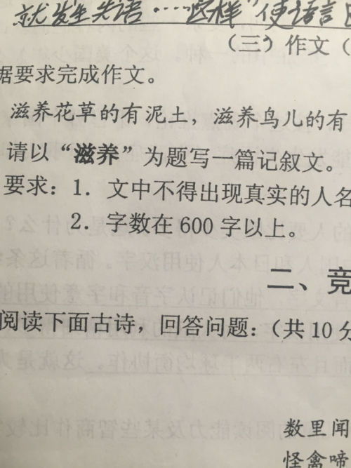 作文,堅(jiān)守,開頭,初中