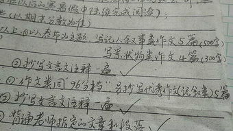 以秀為主題的作文開頭