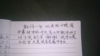 那一天我銘記作文開頭結(jié)尾