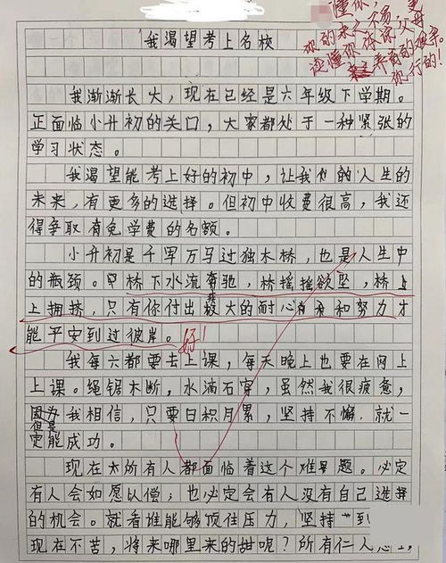 作文父母的開頭結尾