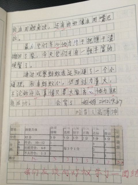 三級(jí)母愛作文開頭