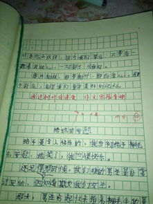 四級(jí)作文精彩開(kāi)頭結(jié)尾練筆