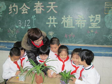 小學(xué)生環(huán)境教育主題班會(huì)(環(huán)境教育主題班會(huì))