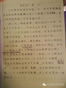 一次難忘100字作文開頭結尾