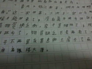 作文二十后的家鄉(xiāng)優(yōu)秀開頭