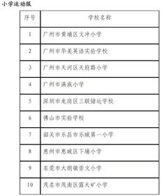 有關學校校服采購情況的調(diào)查報告(有關學校校服采購情況的調(diào)查報告)