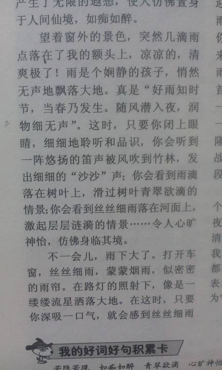 四級(jí)描寫(xiě)雨景的作文開(kāi)頭