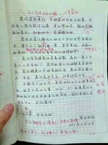 關(guān)于初一新學(xué)校新老師的作文開頭結(jié)尾