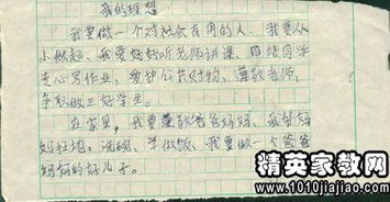 理想中的自己500字作文開頭結(jié)尾