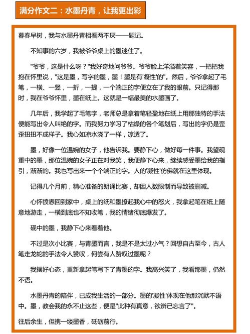 關(guān)于自己成功的作文600字作文開(kāi)頭