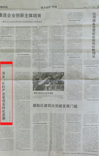 關(guān)于鄉(xiāng)村振興的調(diào)研報告(關(guān)于鄉(xiāng)村振興的調(diào)研報告)