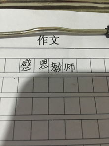 感恩老師寫100個字以上作文開頭結(jié)尾