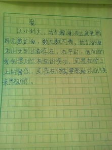 母愛詩句的作文開頭作文題目