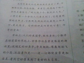 開頭是比喻擬人的親情類作文