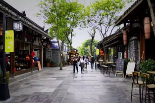 寫遺跡的作文寬窄巷子開頭結(jié)尾