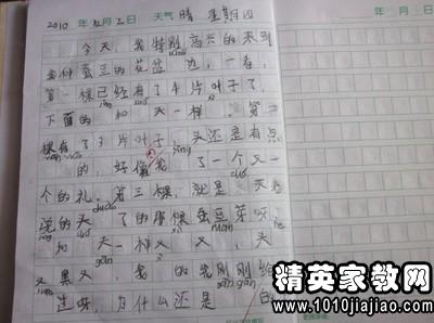 最美植物作文開頭結(jié)尾