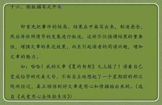 花開的時(shí)候來看你作文開頭