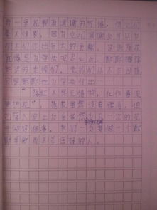 作文,樂(lè)在其中,開頭,主題