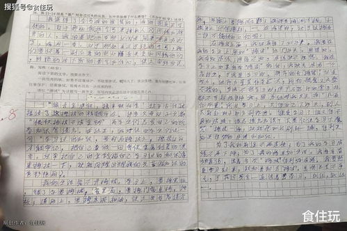 以體驗(yàn)為題寫一篇作文開頭