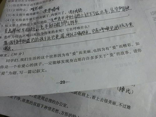 請以感愛平凡為話題的作文的開頭