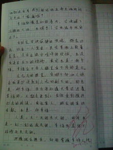 你是我的什么記敘作文開頭