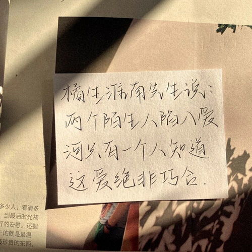 適合用在作文開頭的神仙句子,用于作文開頭的神仙句子,畢業(yè)作文開頭的神仙句子