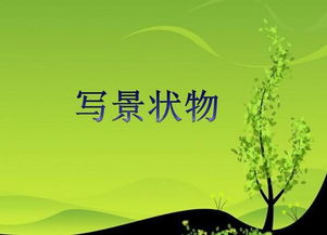 如何寫好作文開頭教案設計