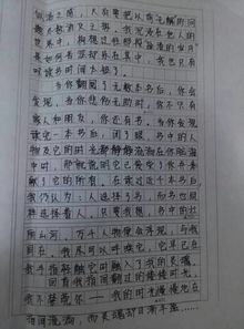 生活來自愛心作文1000字作文開頭