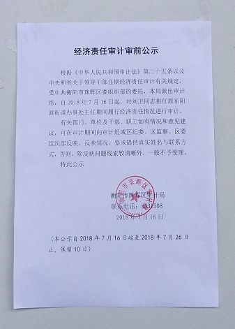 任期經(jīng)濟(jì)責(zé)任審計(jì)的審前公告范文(經(jīng)濟(jì)責(zé)任審計(jì)的審前調(diào)查)