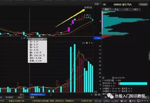 股票技術(shù)分析知識(shí)總結(jié)(教你掌握股票技術(shù)分析)