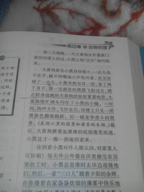我想養(yǎng)的小動(dòng)物800字作文開頭