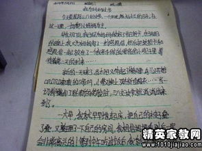 班級活動(dòng)總結(jié)報(bào)告范文(學(xué)期班級活動(dòng)的總結(jié)報(bào)告)