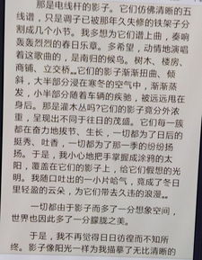 這是真讓我難忘作文600字作文開頭怎么寫