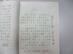 為自己喝彩作文優(yōu)美開(kāi)頭和結(jié)尾