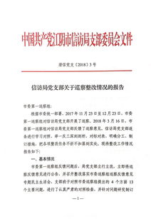 巡察整改報(bào)告(年市質(zhì)監(jiān)局黨組巡察整改情況報(bào)告 )