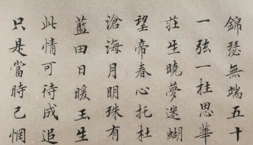讓我最感動(dòng)人作文開(kāi)頭結(jié)尾